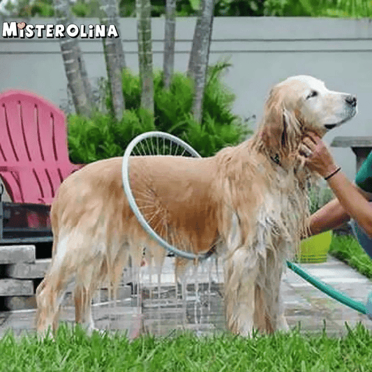 360 Woof Washer Dog Washer