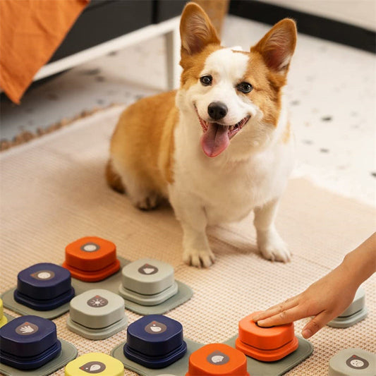 4 Colors Pet Communication Button One-Click Recordable Dog Talking Button