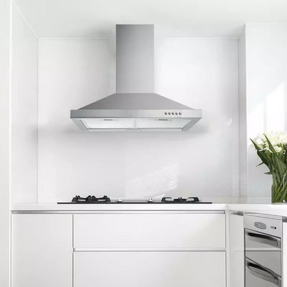 30" Range Hood Wall Mounted Stainless Steel Exhaust Vent