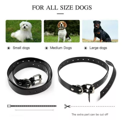 2 In 1 Safe Wireless Dog Fence